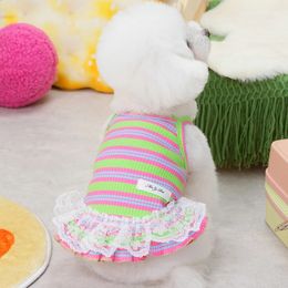 Stripped Dog Dress Clothes Summer Lace Sling Pet Cat Colorful Puppy Suspender Skirt Girls Apparel Dresses 240425