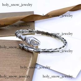 Bulgarie Necklace Bulgarie Bracelet Golden Snake Bracelet Womens Designer Jewelry Steel Diamond Sky Star Bracelet Couple Fashion Snake Bone Bracelet 2458