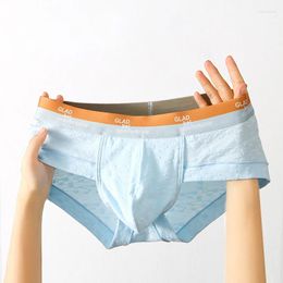 Underpants Men's Underwear Male Sexy Breathable Briefs For Man Cotton High Elastic Panties U Bulge Pouch Soft Slip Cueca