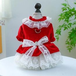 Dog Apparel Pet Dress Elegant Lace Trimmed Princess With Breathable Mesh Stitching For Small Dogs Chihuahua Clothes Puppy Skirt