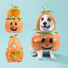 Dog Apparel Dogs Jumpsuit Winter Warm Clothes For Pumpkin Halloween Pet Clothing Cats Christmas