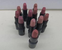 2021Makeup Nude shade 12color lipstick velvet teddy myth honey love please me Matte 3g mocha whirl color with sweet smell5563350