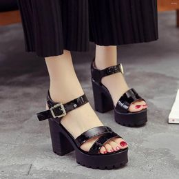 Sandals Fashion Solid Platform Women 2024 Summer Open Toe Rome Style Square High Heels Buckle Gladiator Shoes Sandalias