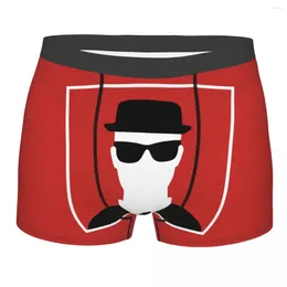 Underpants Custom SKA Man Underwear Men Breathable Jamaica Music Boxer Briefs Shorts Panties Soft For Male