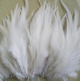 White Rooster Feather DIY Wedding Party Performance Decoration Feather 200 pcslot Approx 46 Inches or 1015cm79869486791316