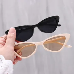 Sunglasses Vintage Small Frame Cat Eye For Women Retro Trendy Fashion UV400 Eyewear Outdoor Streetwear Accessories