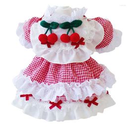 Dog Apparel Dresses Cat Skirt Summer Pet Clothing Yorkshire Terrier Pomeranian Maltese Bichon Poodle Clothes Costume Tutu