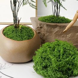 Decorative Flowers Flower Pot Simulated Moss Simulate Plants Horticultural Landscapes For Indoor And Outdoor Decoration Tools