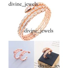 Bulgarie Jewelry Designer Jewelry Woman 18K Gold Plated Snake Bangle Bracelets For Women Men Charm Infinity Diamond Tennis Cuff Bracelets Luxury G 5383