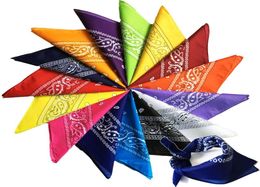 Paisley Cowboy Hip hop Bandanas Handkerchief fashion mask Printed Square riding hooded scarf Multicolors Muffler for Men Women9092647