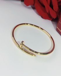 S925 sterling silver Screw nails classic Bracelet Gold Bracelets Punk for Women gift Superior quality Jewellery Bangle4383332