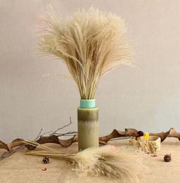 50pcs Real Dried Small Pampas Grass Wedding Flower Bunch Natural Plants Home Decor Dried Flowers Phragmites Flower Ornamental6430145