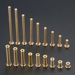 5Pcs CarbonSteel Golf Club Brass Copper Shaft Tip Swing Weights for Woods ShaftsIrons Shafts 2g3g4g5g6g7g8g9g10g 240428