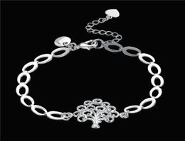 Women039s Sterling Silver Plated Tree of life pendant Charm Bracelet GSSB574 fashion 925 silver plate Jewellery bracelets6253934