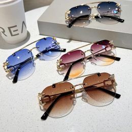 Sunglasses Fashion Gradient For Men Big Frame Pilot Sun Glasses Retro Brand Designer Leopard Head Anti-Glare Eyewear