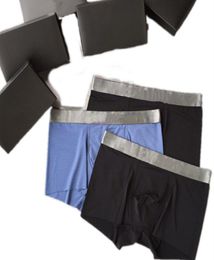 Famous Underpants Man Black Underwears Shorts Cotton Sexy Gay Men039s Underwear Boxer Adult Boxershorts Soft Men Fashion Male U5424539