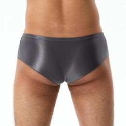Underpants Sexy Mens Glossy Underwear Long Elephant Nose JJ Sleeve Sissy Erotic Lingerie Soft Briefs Oil Shiny Elastic Panties
