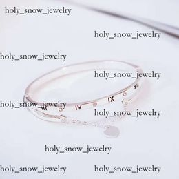 Tiffanyjewelry Wholesale- Rose Gold Stainless Steel Bracelets Bangles Tiffanyjewelry Bracelet Female Heart Forever Love Brand Charm Bracelet Women Jewellery 8609