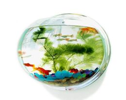 Aquariums Acrylic Plexiglass Fish Bowl Wall Hanging Aquarium Tank Aquatic Pet Products Mount For Betta5738024