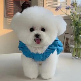 Dog Apparel Pet Clothing Spring And Summer Sleeved Lace Dress Teddy Bear Cat Thin Traction Clothes For Small Dogs