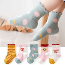 Kinder Socken 5pairs/Los 2022 Neue Frühlingsbaby Socken Baby Baumwollsocken Dicke Socken Kinder Baumwollsocken Baby Girl Winter Socken Y240504
