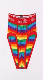 Maikun brand new design rainbow striped gay pride cotton underwear boxers lgbt underwear briefs for men9966773