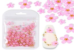 2gBag 3D Pink Flower Nail Art Jewellery Mixed Size Steel Ball Supplies For Professional Accessories DIY Manicure Design3871009