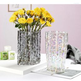 Vases Simplicity Glacier Wrinkle Glass Vase Hydroponics Flower Pots Desk Decoration Flowers Arrangement Floral Modern Home Decor