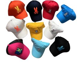 Ball Caps Mens baseball cap rabbit cap womens decorative cap winter warm cap Gorras para hombres cigar brand T240429