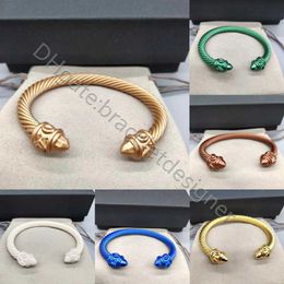 Designer Luxury Bracelet Women Retro 925 Silver plated twist cable Colourful Ethnic Circle Men Punk style Gold bracelets Designers Jewellery Suitable wrist 15-20cm