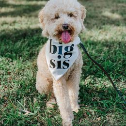 Dog Apparel Custom Big Sis Bandana Sister Pregnancy Announcement Baby Pos Minimalist Minimal Style Simple Boho Oatmeal