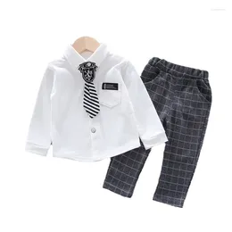 Clothing Sets Spring Autumn Baby Boys Clothes Suits Children Cotton Shirt Pants 2Pcs/Sets Toddler Fashion Costume Infant Kids Tracksuits