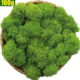 Decorative Flowers 100g Artificial Moss Simulation Eternal Life Green Plants Mini Landscape Fake Grass DIY Crafts Gifts Home Garden Decor