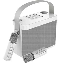 Portable Speakers 120W High Power Wireless Portable Microphone Bluetooth Speaker Sound Family Party Karaoke Subwoofer Boombox caixa de som Ys-219 J0505