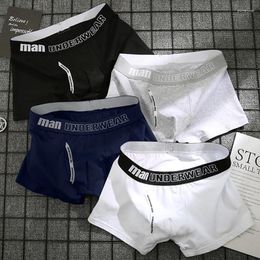 Underpants Boxer Men Underwear Sexy Knickers For Under Wear Cotton Male Pure Breathable Shorts Panties Comfortable Boxers
