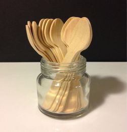 Wooden Spoons 50 SMALL Disposable Wooden Utensils Ice Cream Spoons Mini Dessert Wood Silverware Wedding Spoon6602775