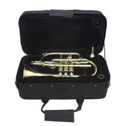 Instruments LADE Professional Bb Flat Cornet Brass Instrument Gold Silver with Carrying Case Gloves Cleaning Cloth Brushes Set
