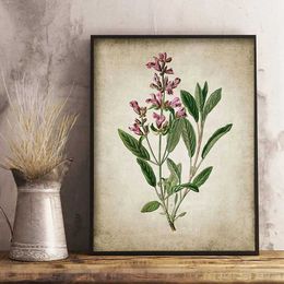 Classic Vintage Plant Canvas Painting Vintage Plant Flower Posters and Printmaking Wall Art Images Home and Living Room Decoration J240510