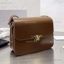 Designer Bag Teen Triomph Bag Leather Cowhide Bag Crossbody Bag Fabric Printing Bag Saddle Bag 560