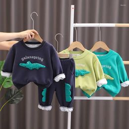 Clothing Sets Kids Boutique Clothes Girls & Boys Spring Stereoscopic Cartoon Crocodile Top Pants 2 Pieces Set Cotton Outfit Infant Tracksuit