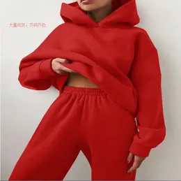 Women's Two Piece Pants 2024 Autumn Winter Women Solid Fleece Tracksuit And Hooded Jogger Suit Female Oversized Casual Sportswear Set