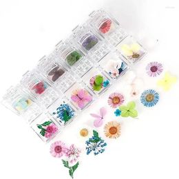 Decorative Flowers 1 Box Real Dried Daisy Flower Dry Plants For Epoxy Resin Pendant Necklace Jewellery Making Craft Mould Filling DIY Nail Art