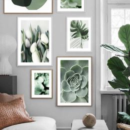 apers Tulip Cactus Tequila Monstera Leaves Plant Wall Art Printmaking Canvas Painting Nordic Posters Decorative Images Living Room J240510