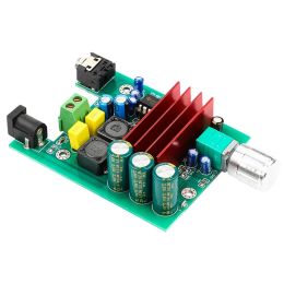 Amplifier 100W TPA3116D2 Amplifier Full Frequency Mono Channel Digital Power Amp Board NE5532 OPAMP 825V (Mono Board)