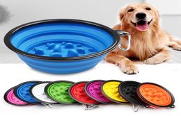 Travel Collapsible Dog Cat Feeding Bowl Slow Feeder Pet Water Dish Feeder Foldable Choke Bowl With Hook Slow Food Bowl5568160