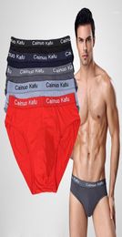 10pcslot Mens Brief Model Sexy Underwear Solid Briefs Factory Direct Men Bikini Underwear Plus L5XL 6XL 7XLOne Size113876229