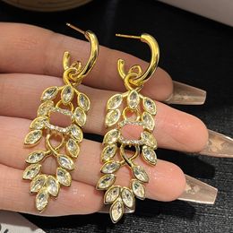 New 18K Gold Plated Crystal Letter Earring Designer Earrings Brand Stud Stainless Steel Long Eardrop Famous Women Studs Wedding Birthday Party Jewelry Gifts