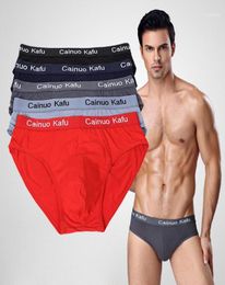 10pcslot Mens Brief Model Sexy Underwear Solid Briefs Factory Direct Men Bikini Underwear Plus L5XL 6XL 7XLOne Size119108342