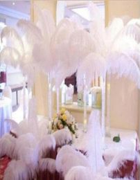 200 pcs Per lot 1012 inch White Ostrich Feather Plume Craft Supplies Wedding Party Table Centrepieces Decoration GB8348910964