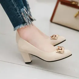 Dress Shoes Pointed Toe High Heel Rubber Pumps For Women 2024 Summer Fashion Shallow Ladies One Kick Thick Pu